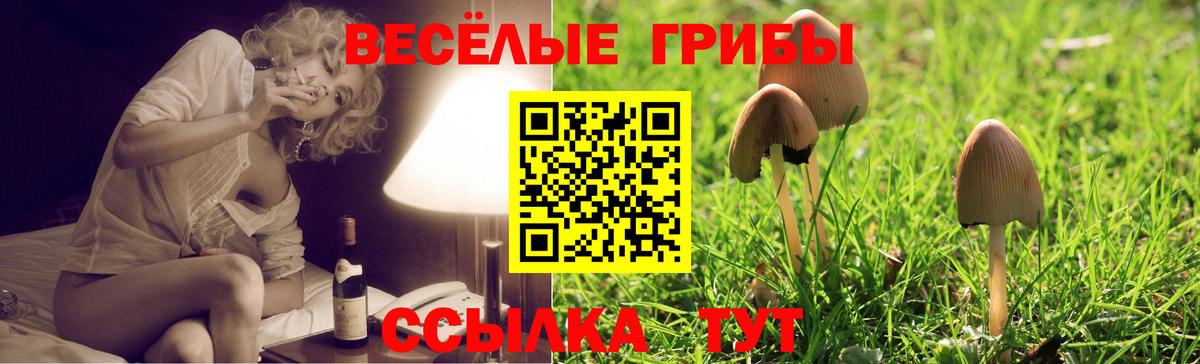 Галлюциногенные грибы мухоморы Нижневартовск